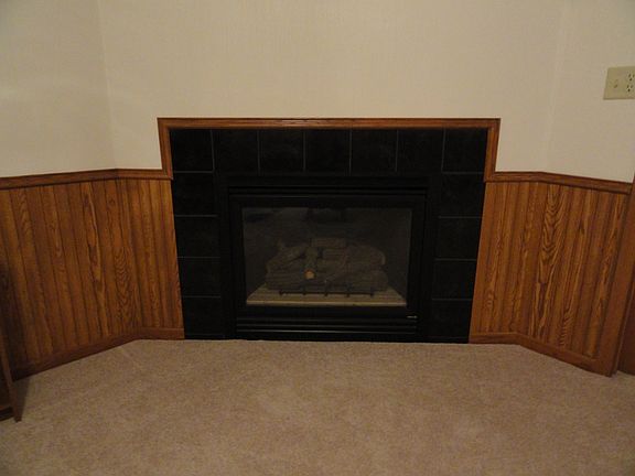 Gas Fireplace