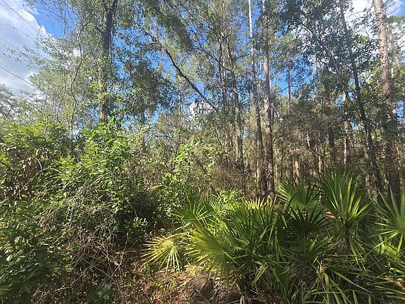 4th image of Lot 20 NE 796th St