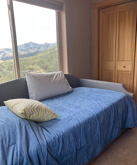 Daybed with trundle bed underneath & folding closet