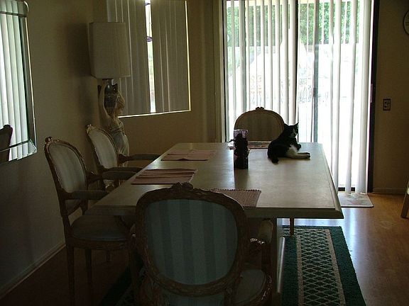 Large, Wood Floor Dining Area