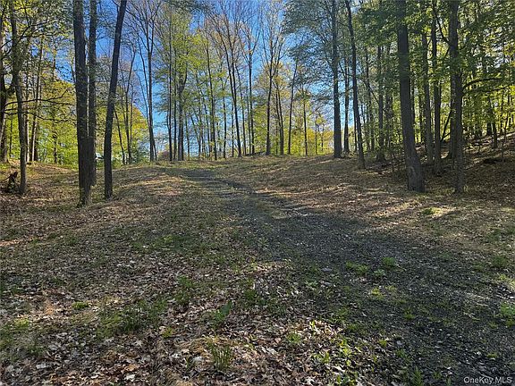 4th image of Hall Hill Road