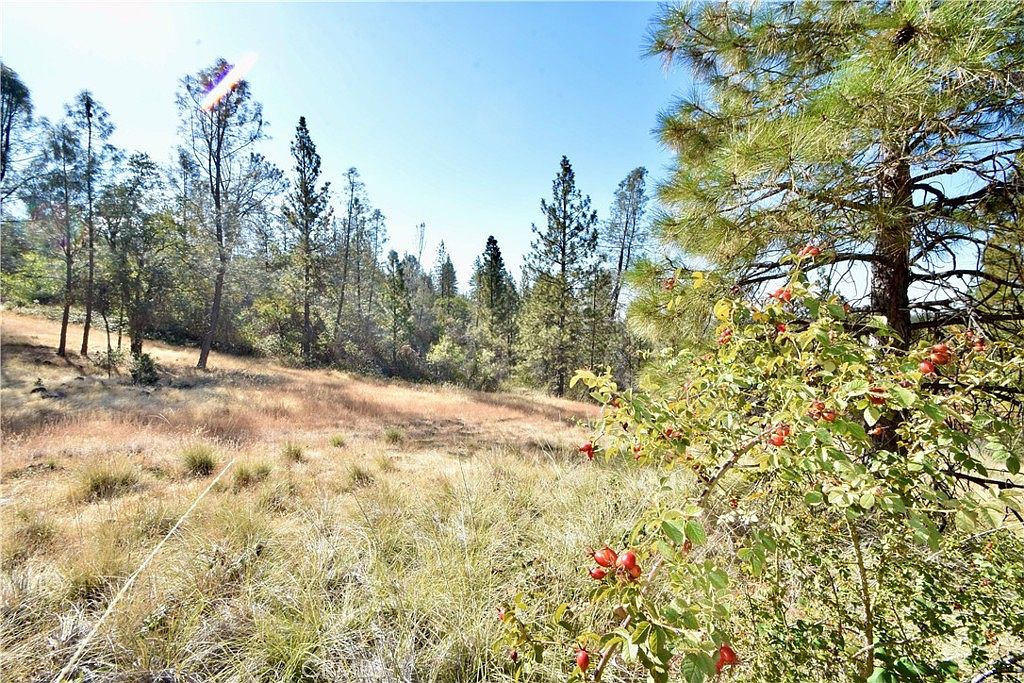 17861 Ponderosa Way, Oroville, CA 95966 Zillow