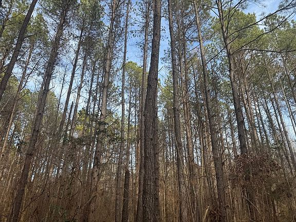 4th image of 158 Black Warrior Bay