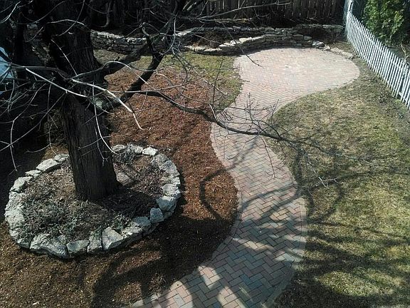 Backyard - view from Master
