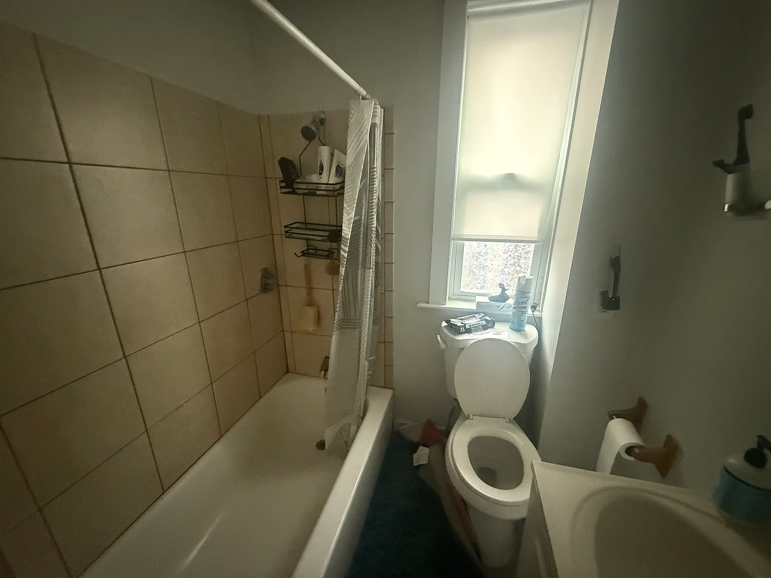 3 bed, 9999 sqft, $3,750 — Photo 3