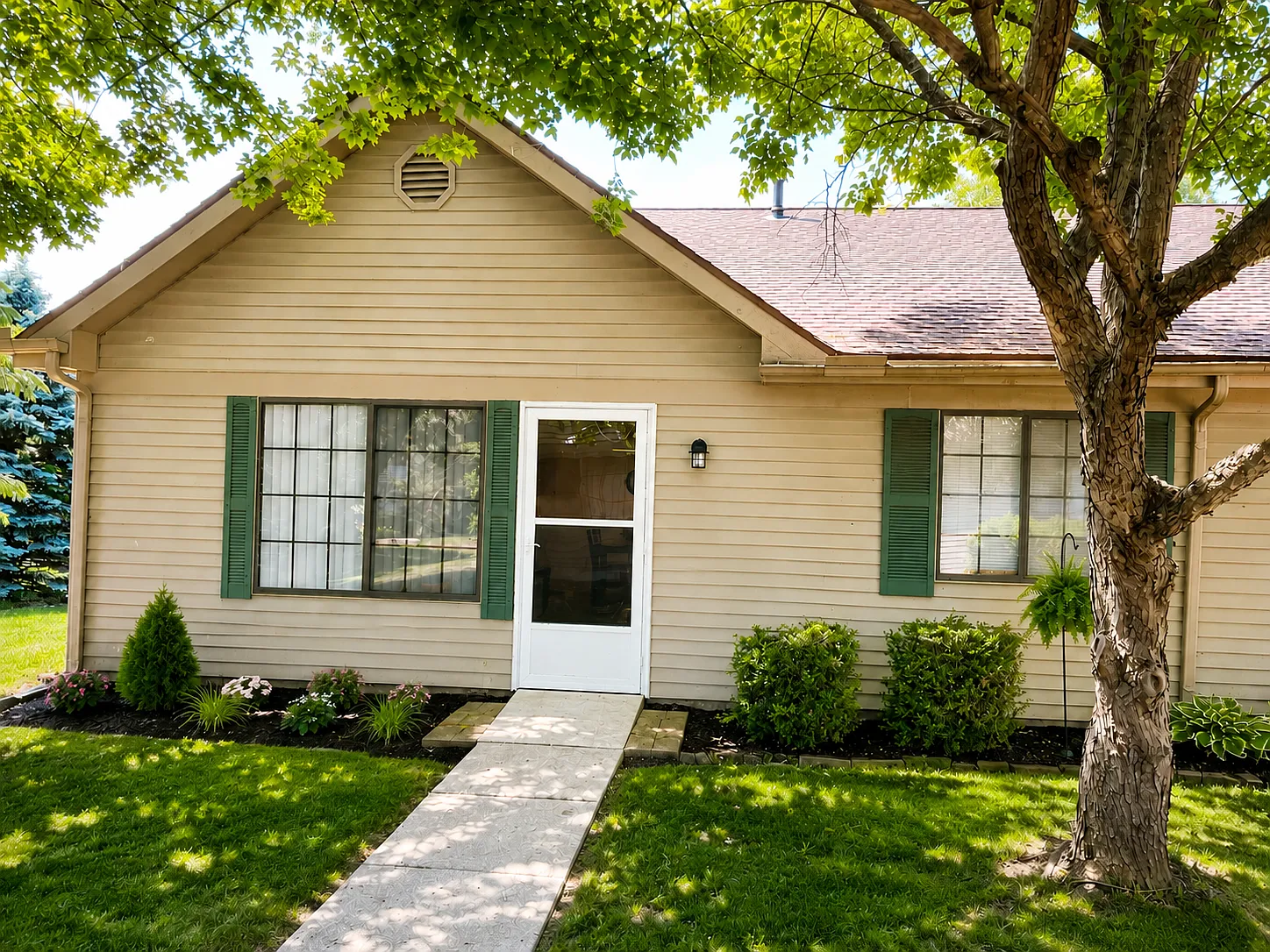 1 bed, 800 sqft, $1,250 — Photo 4