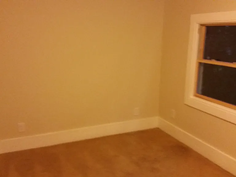 113 Woodward St — Photo 19
