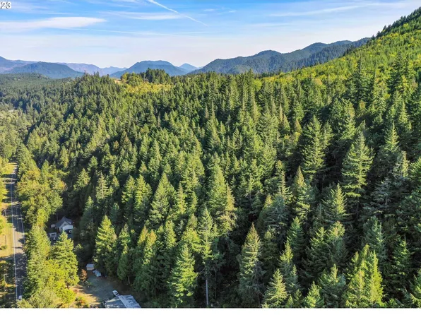 0 Westfir Rd #Tl-1400, Westfir, OR 97492