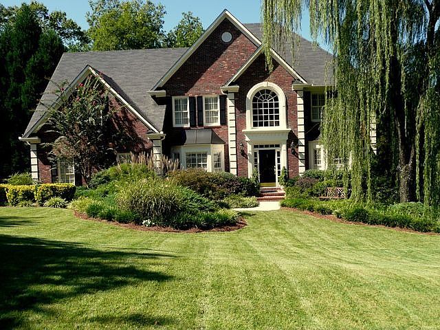 Graceful willow tree in front yard