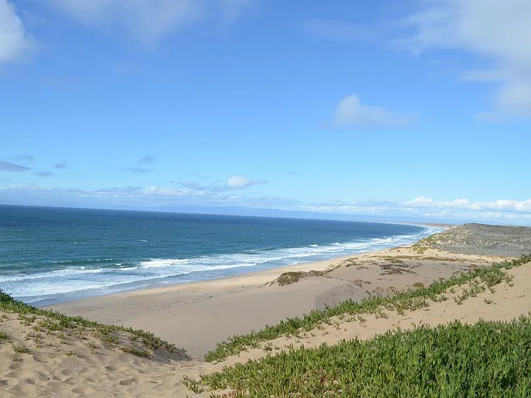 5005 Beach Wood Dr — Photo 27