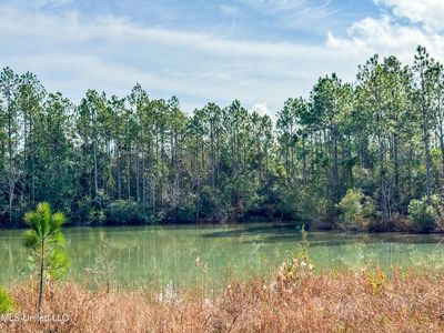 R S Kimball Rd Lot 20, Vancleave, MS, 39565