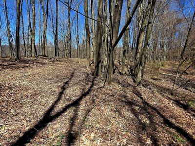 66 Elkins, Summersville, WV, 26651