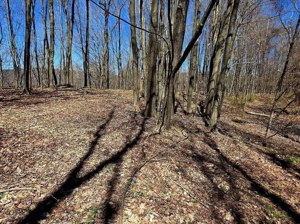 66 Elkins, Summersville, WV 26651