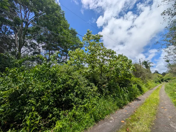 Keola Pl Lot 220, Mountain View, HI 96771
