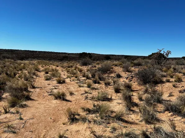 (undisclosed Address), Rio Rancho, NM 87144