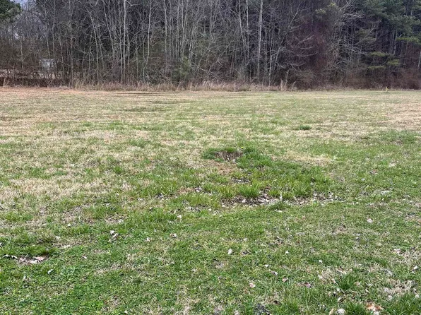 LOT 1 Summertree Way, Arab, AL 35016