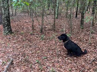 Bhl 2 Boise Cascade Rd #BHL-2, Bethune, SC 29009