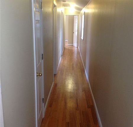 photo 1 (12)