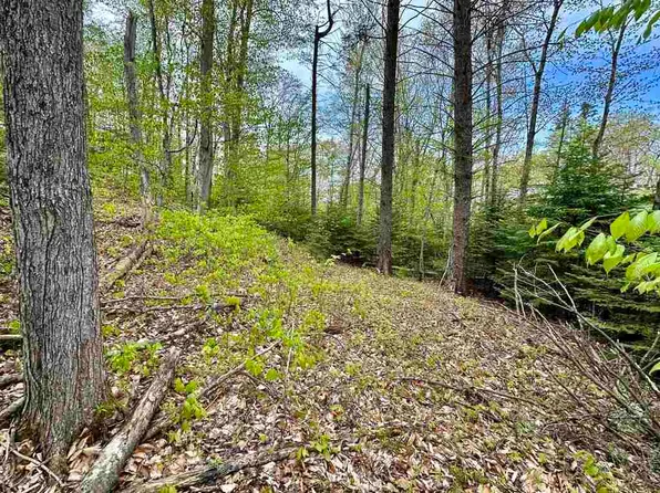 Allens Lakeview Road Lots 867 #&-868, Beaver Island, MI 49782
