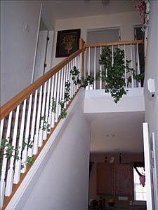 1st image of 427 Melbourne Ln