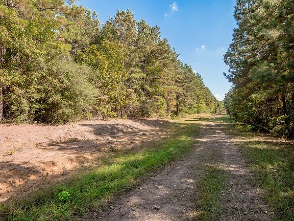 3rd image of 20 AC County Rd 783