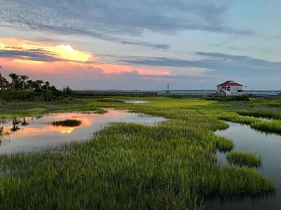 Patriots Pt marsh and marina