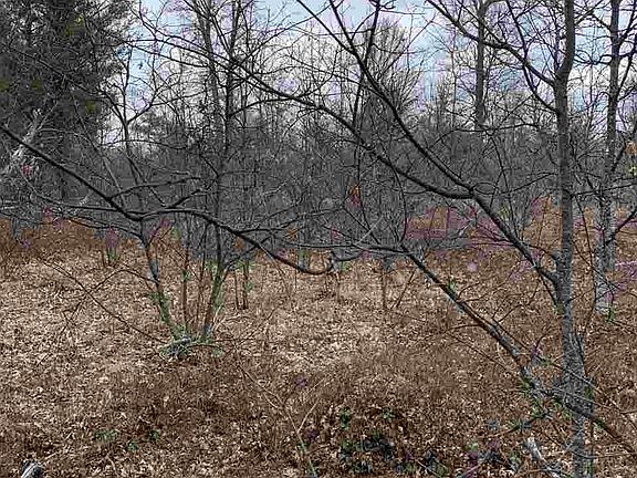 3rd image of 2655 Cambay Trl