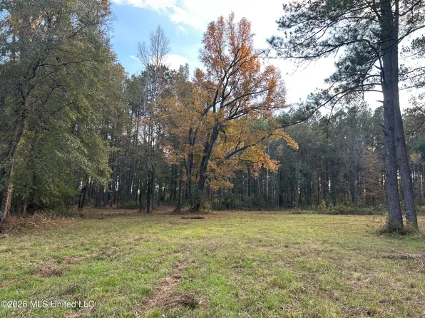 4024 Old Mill Rd, Osyka, MS 39657