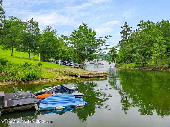 Image 3: Swim Platform
