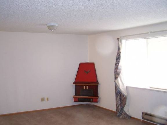 Livingroom Electric Firep