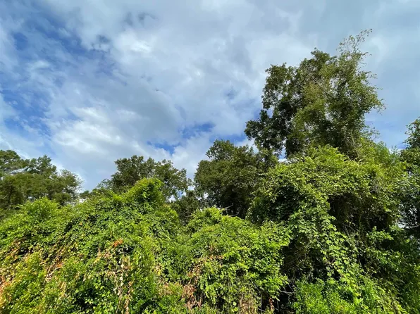 0 Richardson Rd, Crawfordville, FL 32327