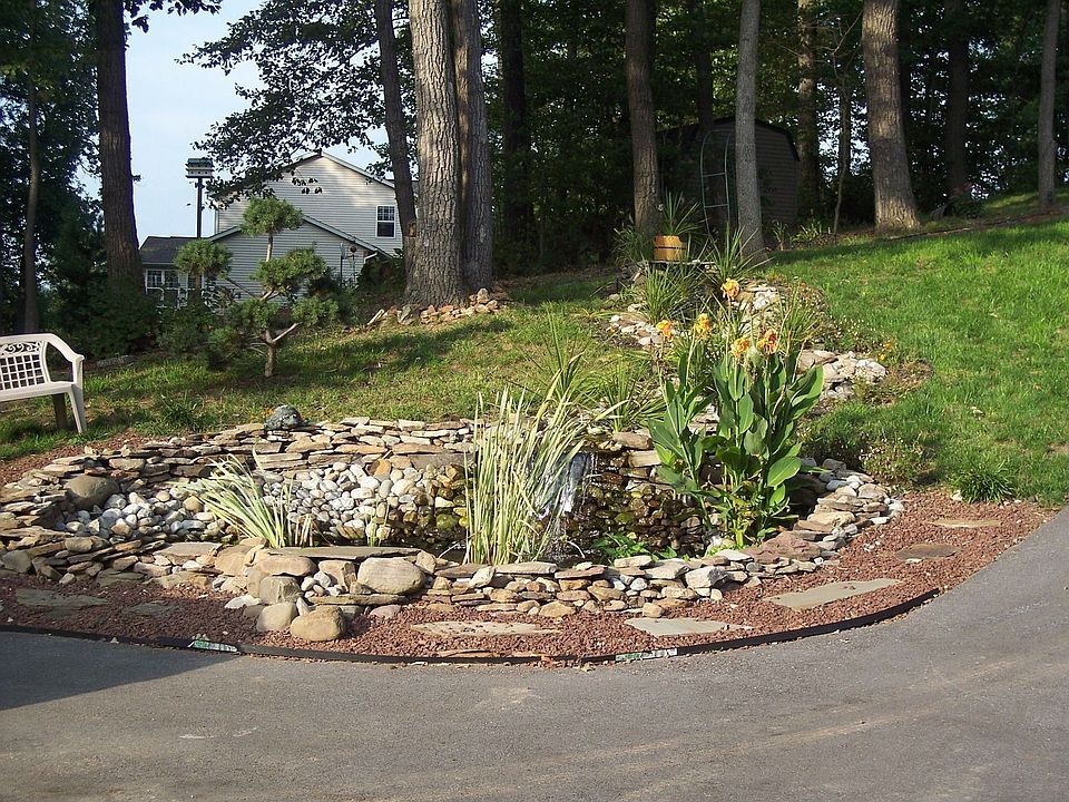 The Pond