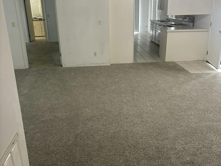 276 Timber Run Way — Photo 7