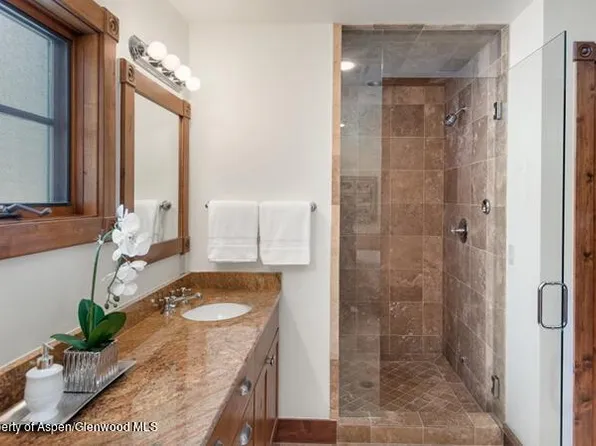 519 W Main St #D101, Aspen, CO 81611