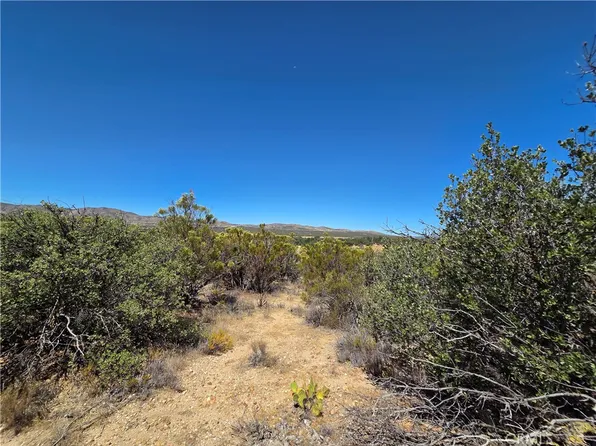 1 Terwilliger Rd Lot 1, Anza, CA 92539