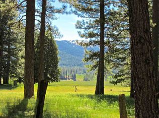 553 Redtail Loop Rd, Clio, CA 96106