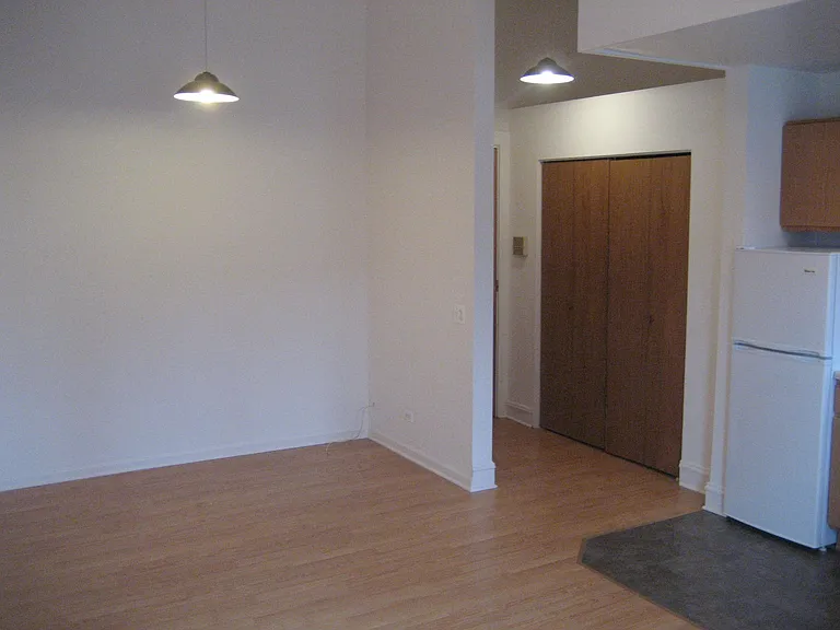 1649 N Wells St #3K1 — Photo 5