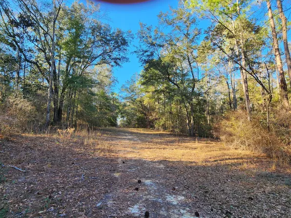 1221 Js Jones Rd, Graceville, FL 32440