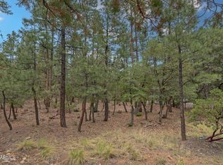 98 Trails End Dr #98, Pine, AZ 85544