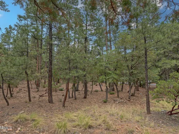 98 TRAIL END Drive #98, Pine, AZ 85544