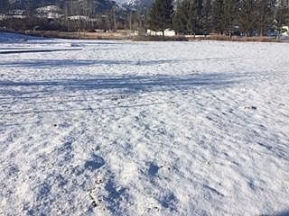 2nd image of 0 Meridian Rd