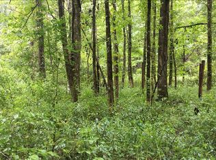 18 Conasauga Rd, Ellijay, GA 30540