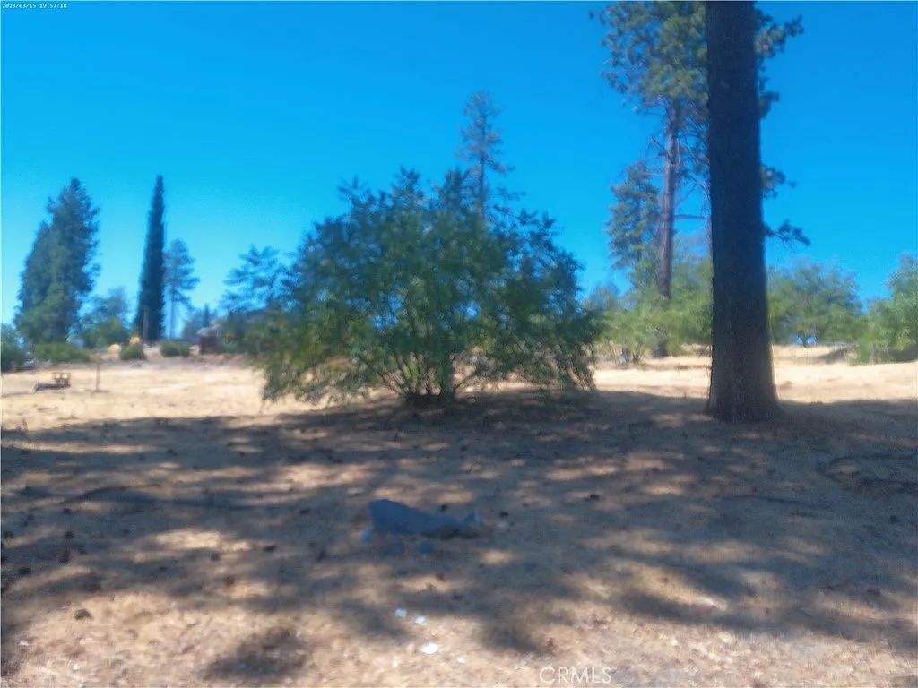 6323 Forest Ln photo 1