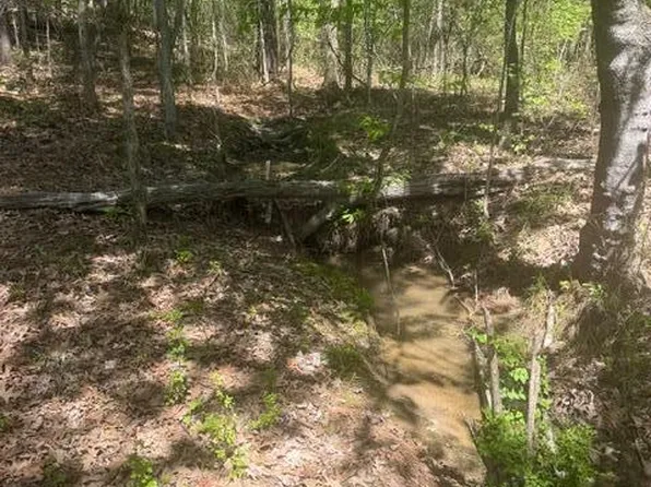 Elkmont Rd NW, Cleveland, TN 37312