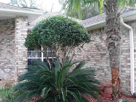 2nd image of 6450 Sarasota St