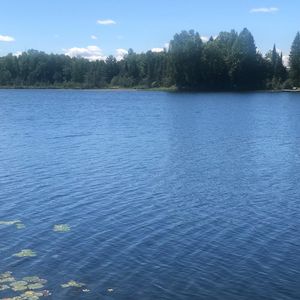 On Pine Bough Ct Lot 11, Mercer, WI, 54547