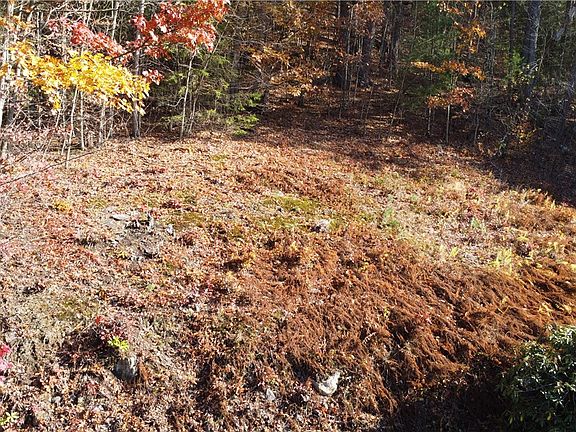 4th image of 84 Peas Eddy Rd