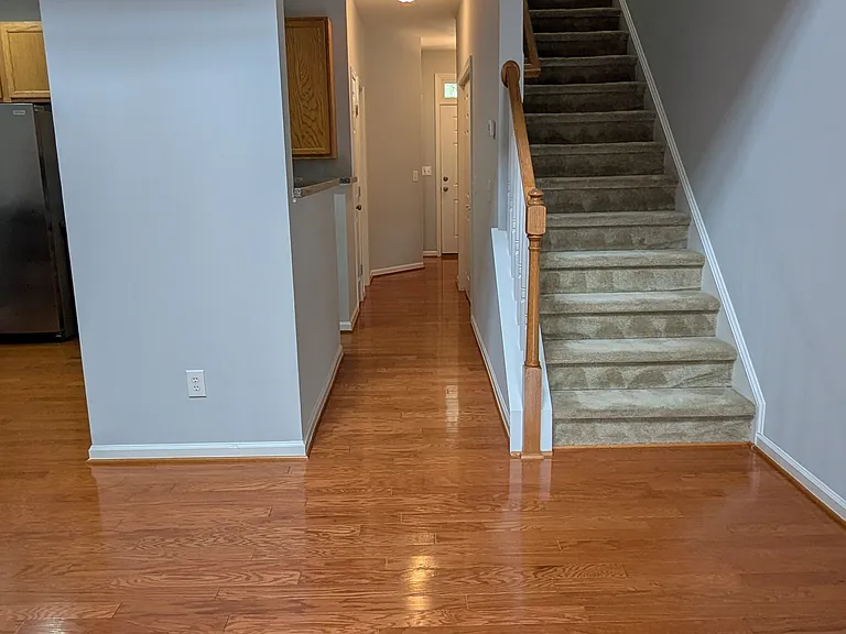 8514 Micollet Ct — Photo 5