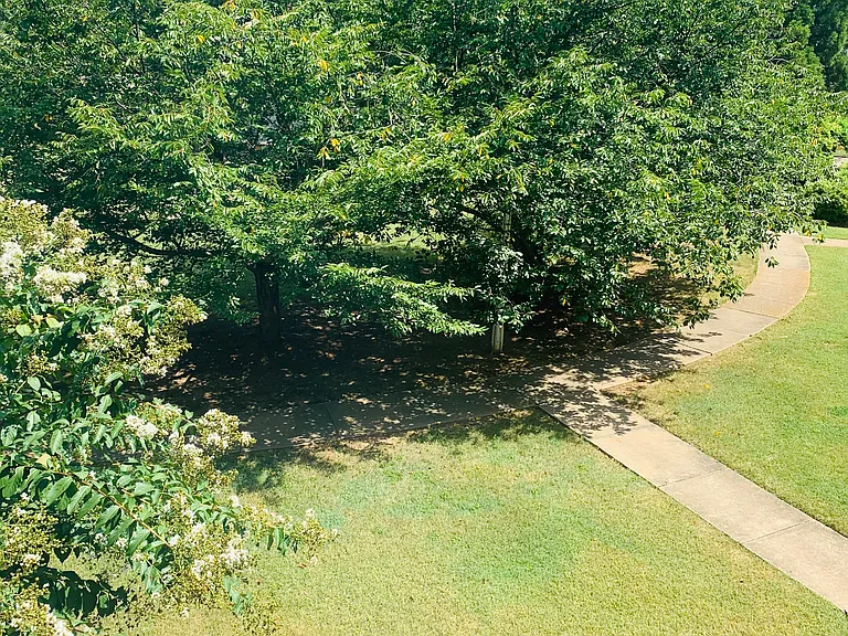 2848 Thornhill Rd — Photo 57