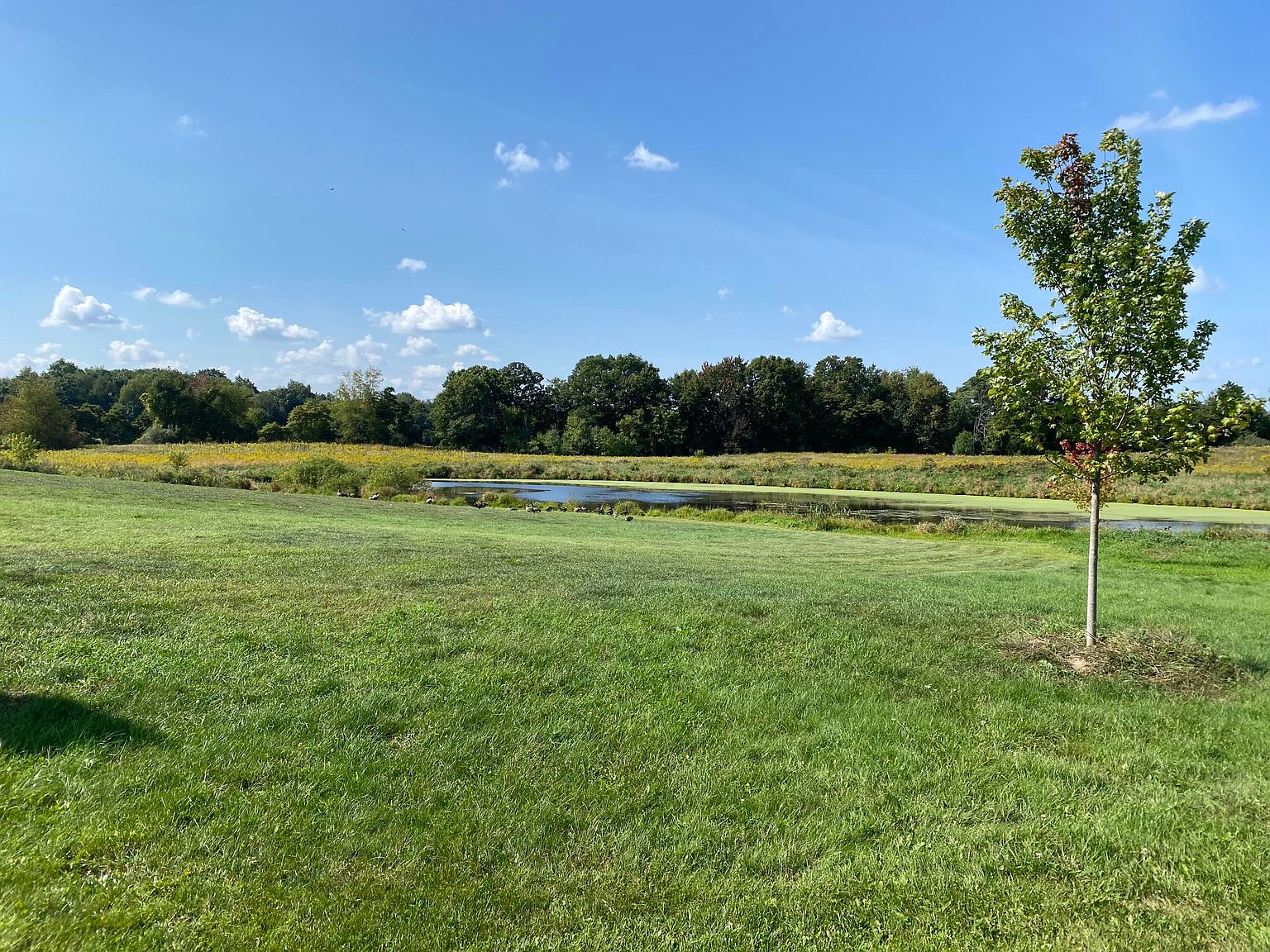 8707 Cannonsburg Rd NE, Ada, MI 49301 MLS 24033605 Zillow